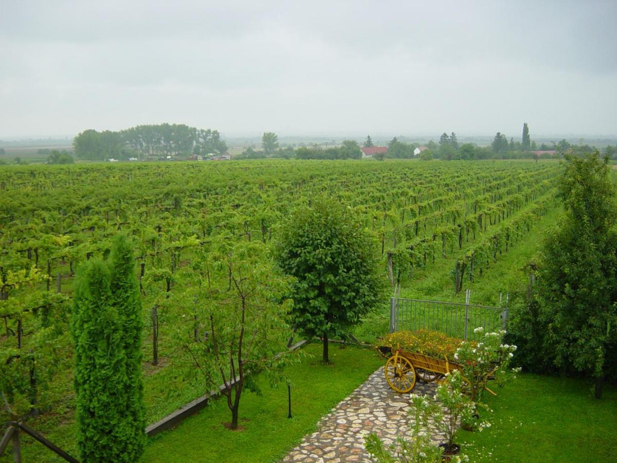 Nitt Pince Es Panzio Bed & Breakfast Kisharsany Exterior photo